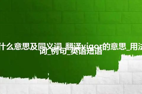 vigor什么意思及同义词_翻译vigor的意思_用法_同义词_例句_英语短语