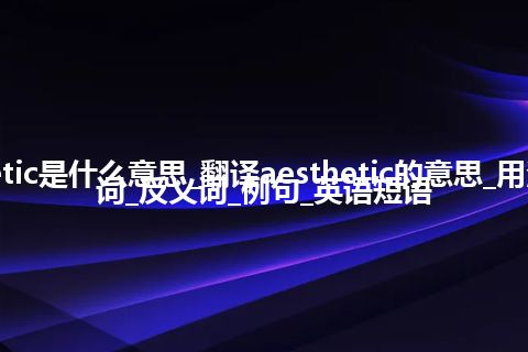 aesthetic是什么意思_翻译aesthetic的意思_用法_同义词_反义词_例句_英语短语