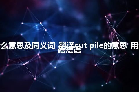 cut pile什么意思及同义词_翻译cut pile的意思_用法_例句_英语短语