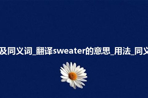 sweater什么意思及同义词_翻译sweater的意思_用法_同义词_例句_英语短语