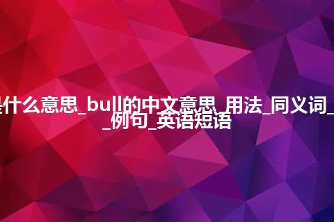 bull是什么意思_bull的中文意思_用法_同义词_反义词_例句_英语短语