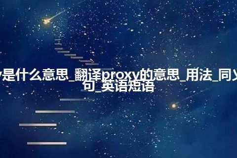 proxy是什么意思_翻译proxy的意思_用法_同义词_例句_英语短语