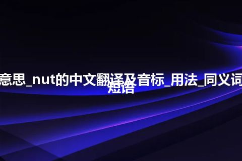 nut是什么意思_nut的中文翻译及音标_用法_同义词_例句_英语短语