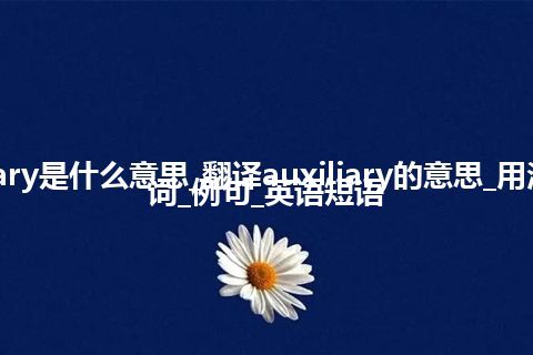 auxiliary是什么意思_翻译auxiliary的意思_用法_同义词_例句_英语短语