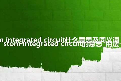 custom integrated circuit什么意思及同义词_翻译custom integrated circuit的意思_用法