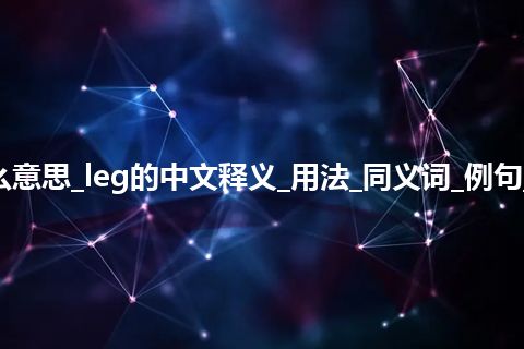 leg是什么意思_leg的中文释义_用法_同义词_例句_英语短语