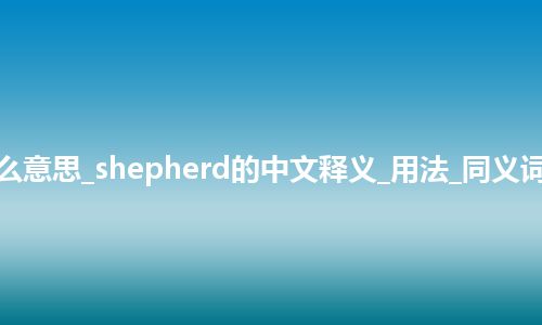 shepherd是什么意思_shepherd的中文释义_用法_同义词_例句_英语短语