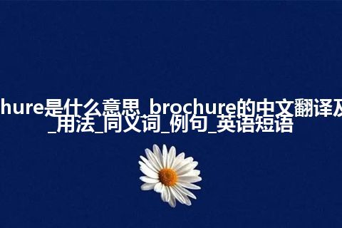 brochure是什么意思_brochure的中文翻译及音标_用法_同义词_例句_英语短语