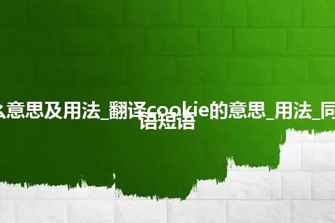 cookie是什么意思及用法_翻译cookie的意思_用法_同义词_例句_英语短语