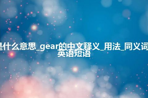 gear是什么意思_gear的中文释义_用法_同义词_例句_英语短语