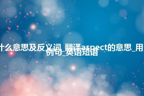 aspect是什么意思及反义词_翻译aspect的意思_用法_同义词_例句_英语短语