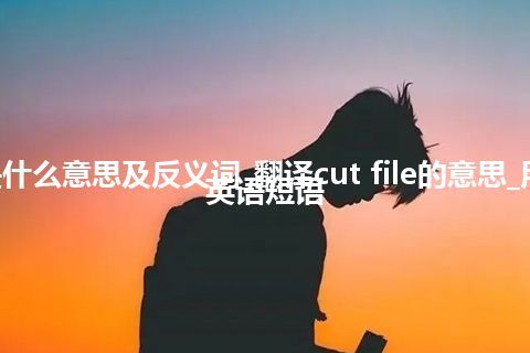 cut file是什么意思及反义词_翻译cut file的意思_用法_例句_英语短语