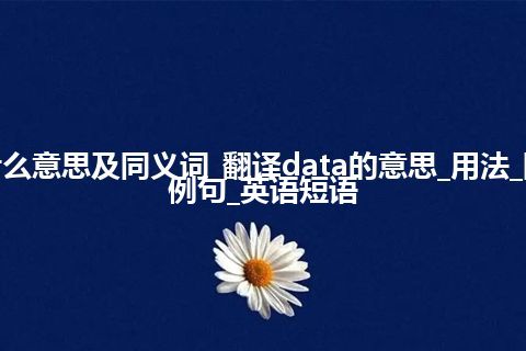 data什么意思及同义词_翻译data的意思_用法_同义词_例句_英语短语