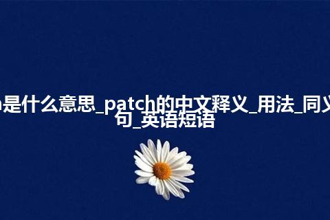 patch是什么意思_patch的中文释义_用法_同义词_例句_英语短语