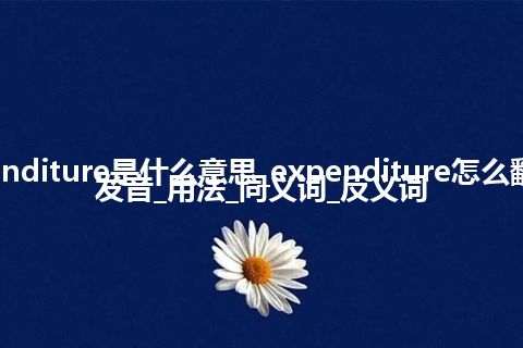 expenditure是什么意思_expenditure怎么翻译及发音_用法_同义词_反义词