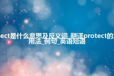 protect是什么意思及反义词_翻译protect的意思_用法_例句_英语短语