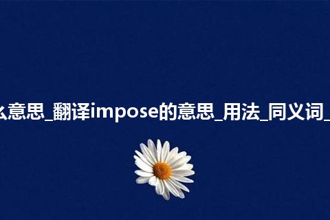 impose是什么意思_翻译impose的意思_用法_同义词_例句_英语短语