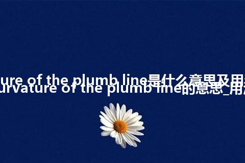 curvature of the plumb line是什么意思及用法_翻译curvature of the plumb line的意思_用法