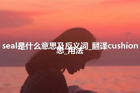 cushion seal是什么意思及反义词_翻译cushion seal的意思_用法