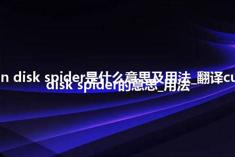 cushion disk spider是什么意思及用法_翻译cushion disk spider的意思_用法