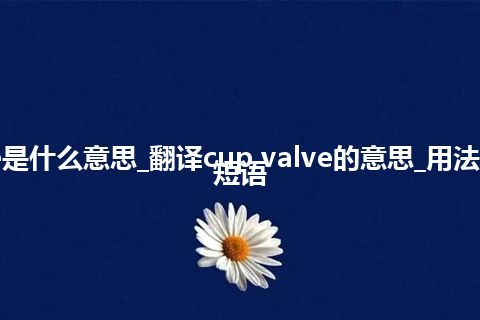 cup valve是什么意思_翻译cup valve的意思_用法_例句_英语短语