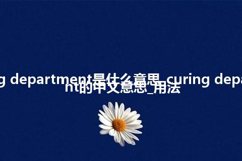 curing department是什么意思_curing department的中文意思_用法