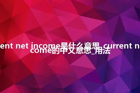 current net income是什么意思_current net income的中文意思_用法