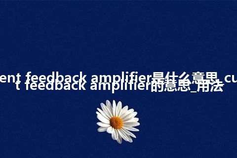 current feedback amplifier是什么意思_current feedback amplifier的意思_用法