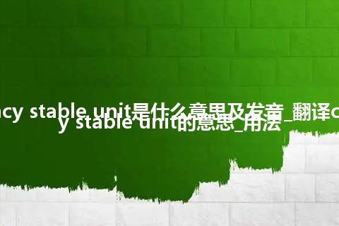 currency stable unit是什么意思及发音_翻译currency stable unit的意思_用法