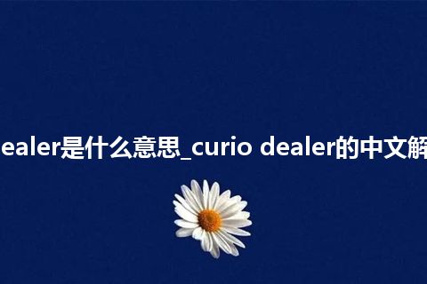 curio dealer是什么意思_curio dealer的中文解释_用法