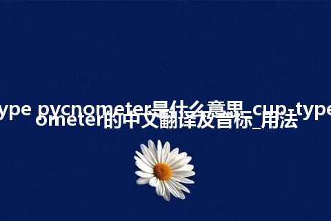 cup-type pycnometer是什么意思_cup-type pycnometer的中文翻译及音标_用法