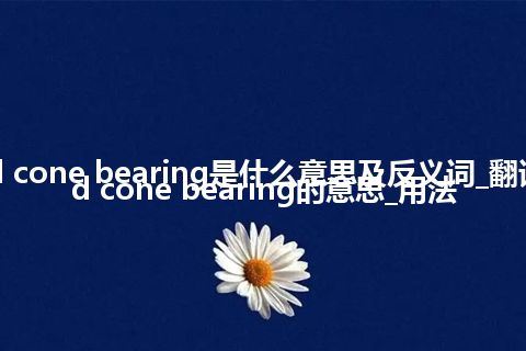 cup and cone bearing是什么意思及反义词_翻译cup and cone bearing的意思_用法