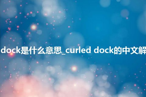 curled dock是什么意思_curled dock的中文解释_用法