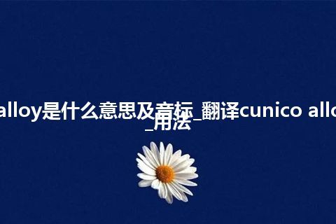 cunico alloy是什么意思及音标_翻译cunico alloy的意思_用法