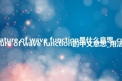 curvature of wave function是什么意思_curvature of wave function的中文意思_用法