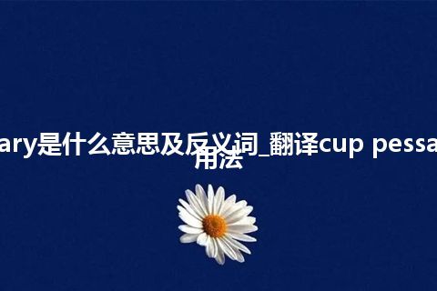 cup pessary是什么意思及反义词_翻译cup pessary的意思_用法