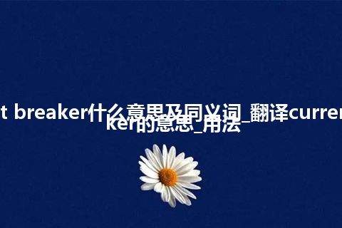 current breaker什么意思及同义词_翻译current breaker的意思_用法