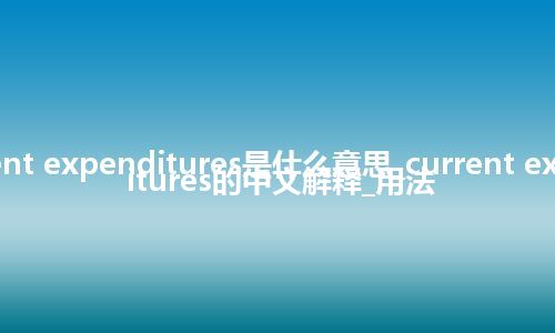 current expenditures是什么意思_current expenditures的中文解释_用法