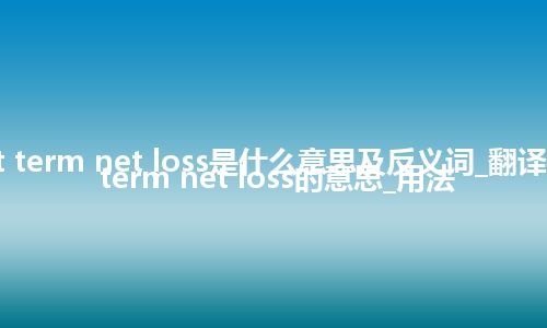 current term net loss是什么意思及反义词_翻译current term net loss的意思_用法