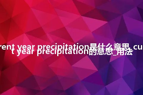 current year precipitation是什么意思_current year precipitation的意思_用法