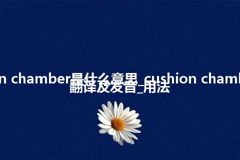 cushion chamber是什么意思_cushion chamber怎么翻译及发音_用法