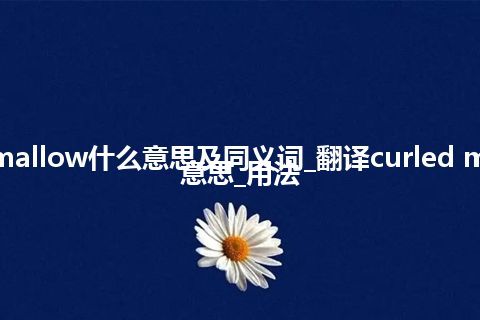 curled mallow什么意思及同义词_翻译curled mallow的意思_用法