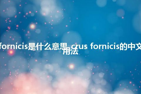 crus fornicis是什么意思_crus fornicis的中文意思_用法