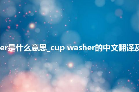 cup washer是什么意思_cup washer的中文翻译及用法_用法