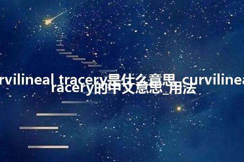 curvilineal tracery是什么意思_curvilineal tracery的中文意思_用法