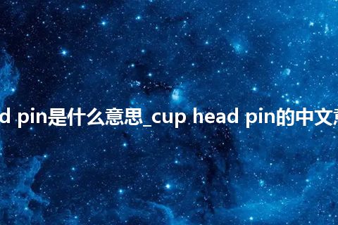 cup head pin是什么意思_cup head pin的中文意思_用法