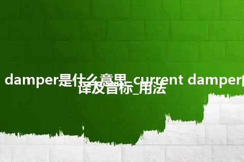 current damper是什么意思_current damper的中文翻译及音标_用法