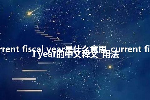 current fiscal year是什么意思_current fiscal year的中文释义_用法