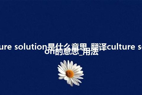 culture solution是什么意思_翻译culture solution的意思_用法