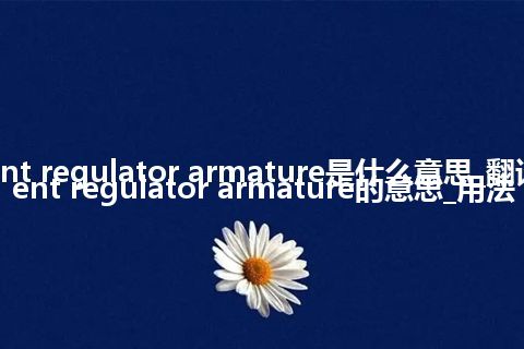 current regulator armature是什么意思_翻译current regulator armature的意思_用法